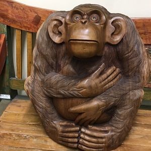 Meet your Posher, Dylan